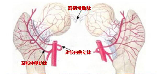 80b25784a30fbe0bcb3bd08bfdbdecfe.jpg